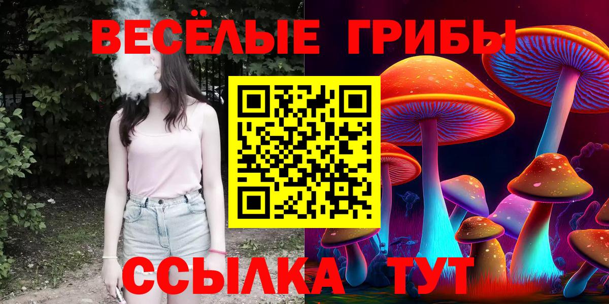 Псилоцибиновые грибы мицелий  Вход с VPN  Большой Камень 